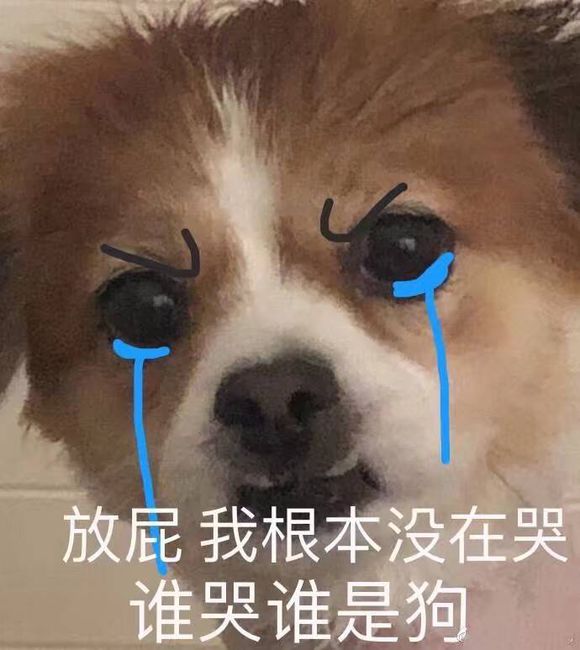 微信近期斗图恶搞表情包2019/10/17(二)