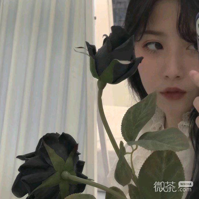 阳光文艺清新女头