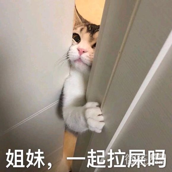 绝望恶搞傻屌斗图表情包