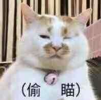 绝望恶搞傻屌斗图表情包