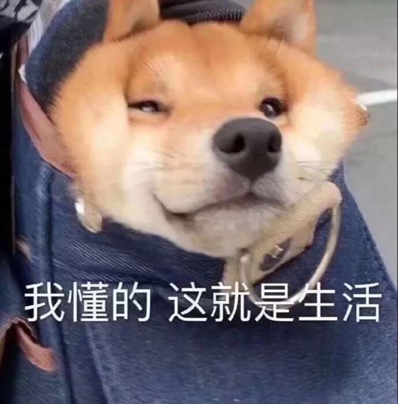 微信近期斗图恶搞表情包2019/10/17(二)
