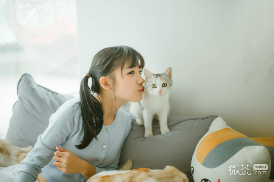 少女与猫系列微信唯美写真图片下载