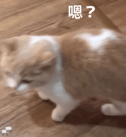 微信近期斗图恶搞表情包2019/10/17(二)