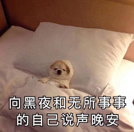 老爸的肯定微信恶搞傻屌斗图表情包