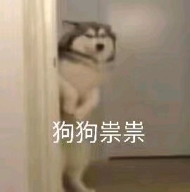 微信近期斗图恶搞表情包2019/10/17(二)