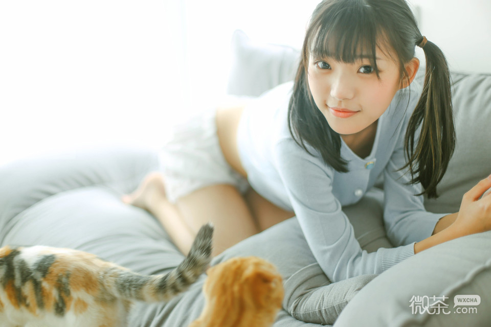 少女与猫系列微信唯美写真图片下载