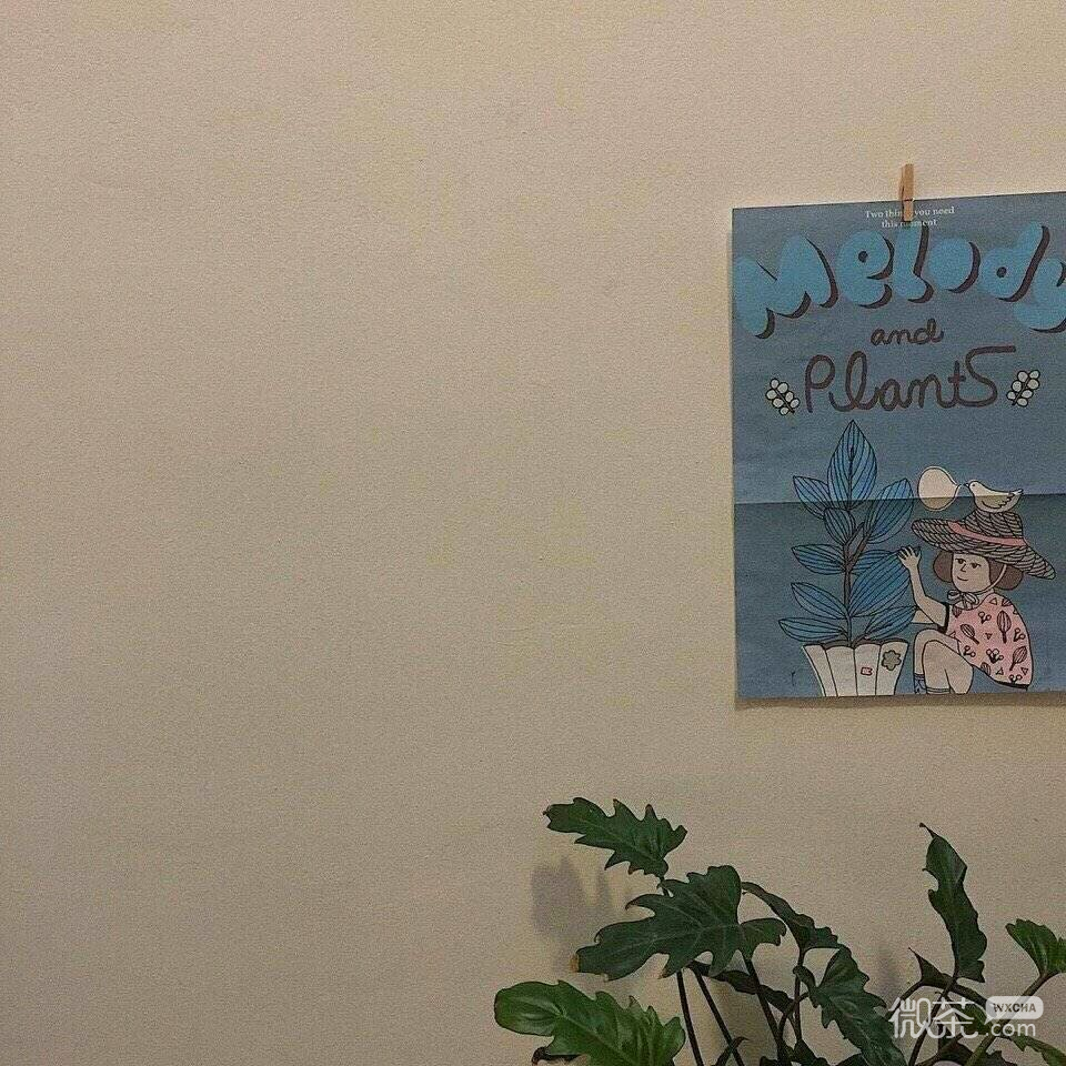 简约清新朋友圈配图