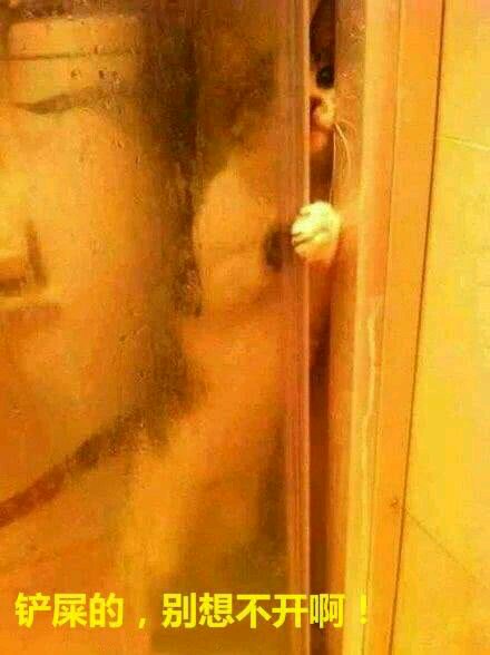 吃惊微信恶搞傻屌群聊杂图表情包