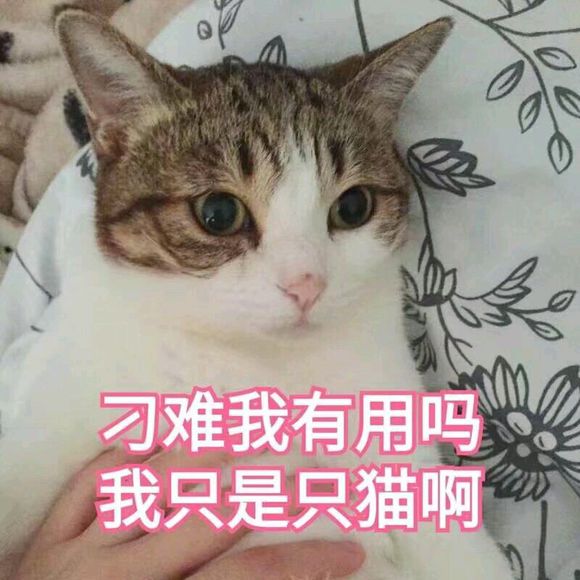 吃惊微信恶搞傻屌群聊杂图表情包