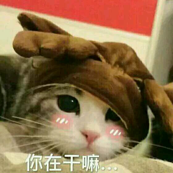 吃惊微信恶搞傻屌群聊杂图表情包