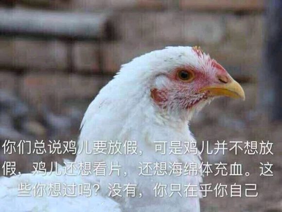 吃惊微信恶搞傻屌群聊杂图表情包