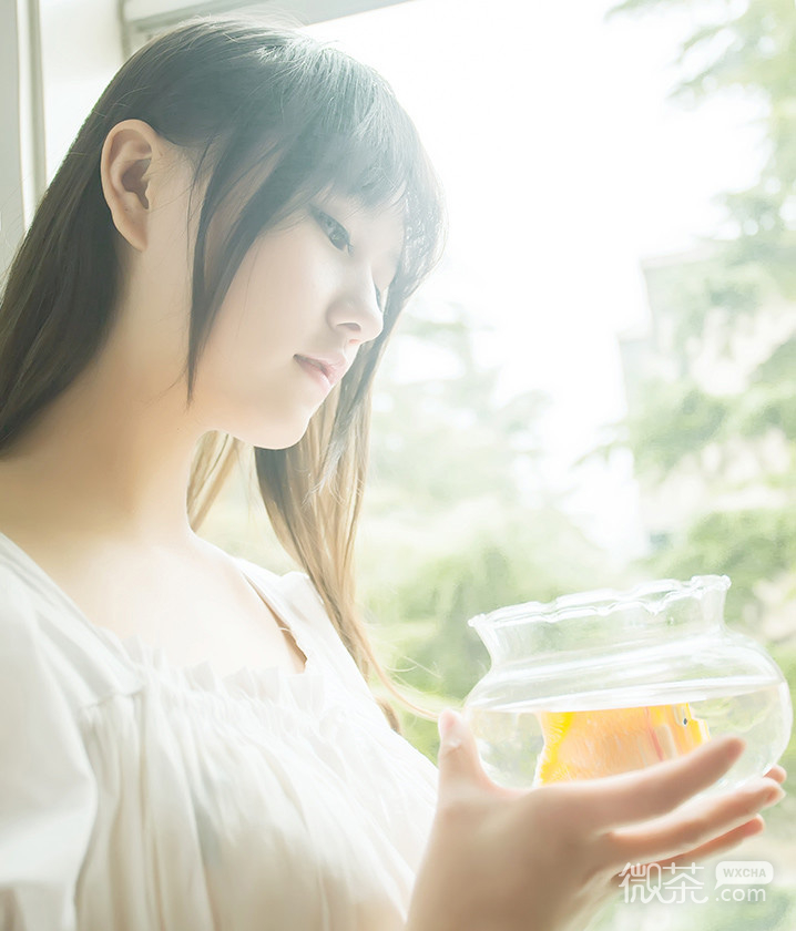 唯美小清新的微信女生套图下载