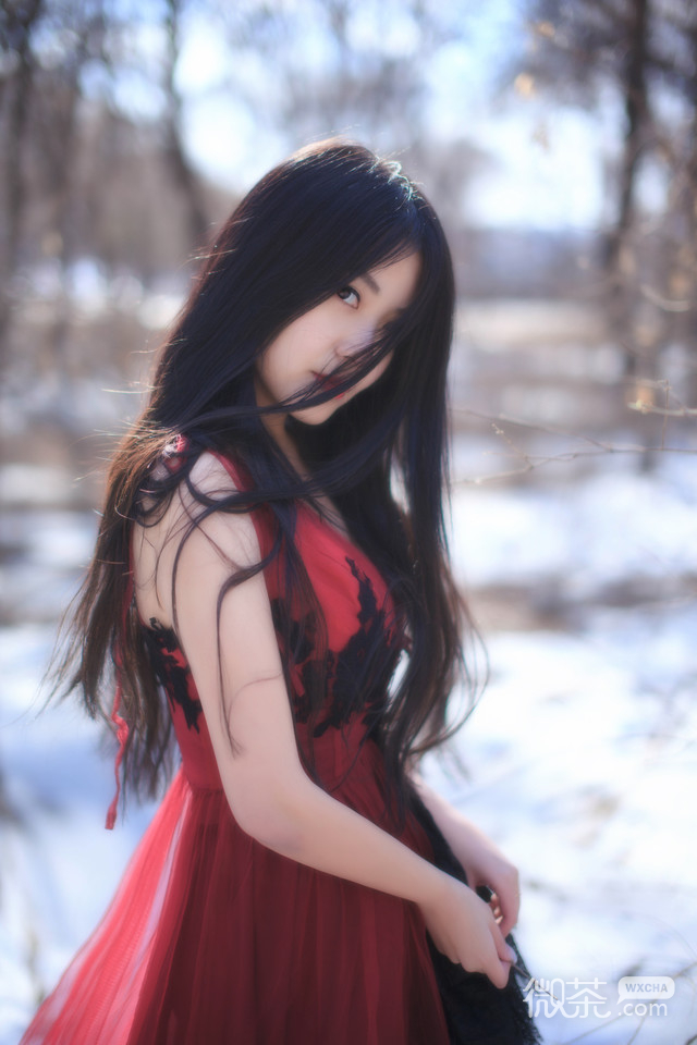 唯美小清新的微信女生套图下载