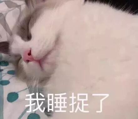 微信近期斗图恶搞表情包2019/10/19（二）