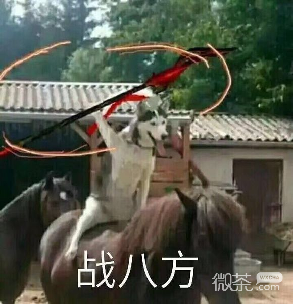 我太难了微信恶搞傻屌群聊杂图表情包