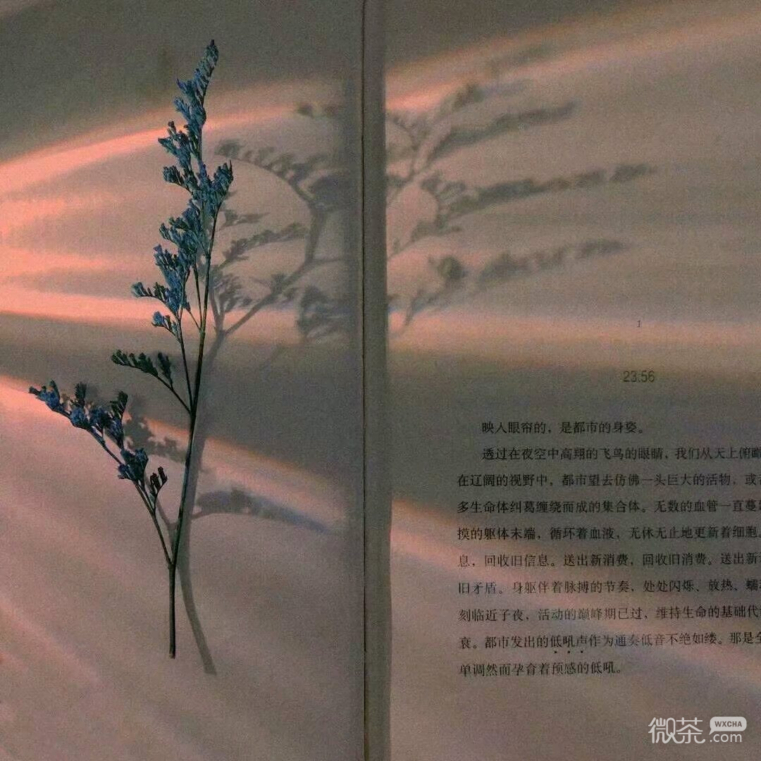 意境文艺房间朋友圈配图