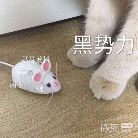 我太难了微信恶搞傻屌群聊杂图表情包