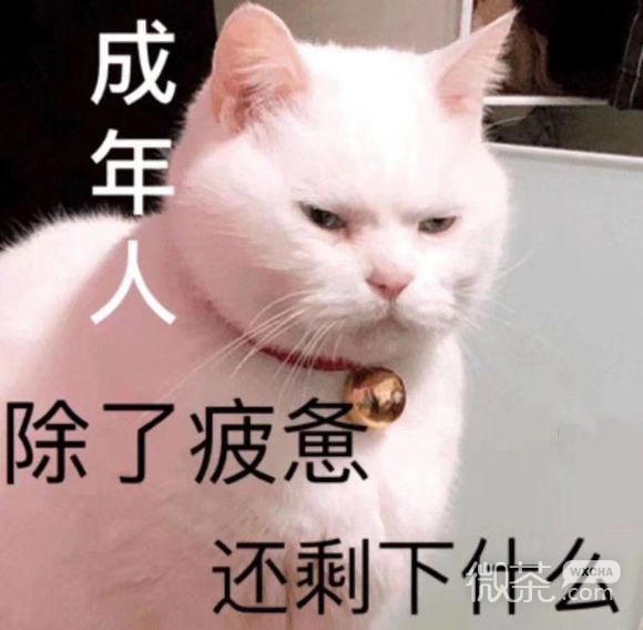 我太难了微信恶搞傻屌群聊杂图表情包