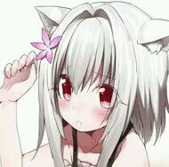 666微信恶搞二次元傻屌斗图表情包