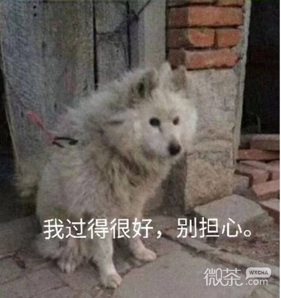 我太难了微信恶搞傻屌群聊杂图表情包