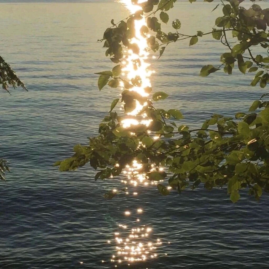 梦幻粉色系朋友圈配图