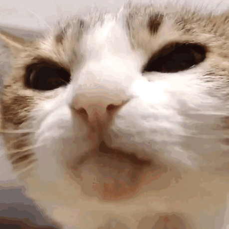 我操微信恶搞傻屌群聊杂图斗图表情包