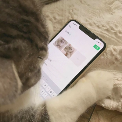 超可爱的微信喵星人萌宠头像下载