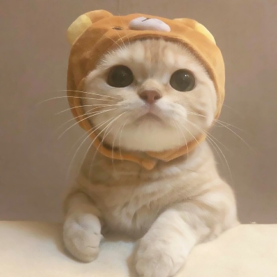 超可爱的微信喵星人萌宠头像下载