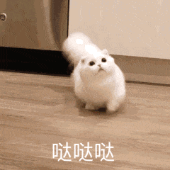 我操微信恶搞傻屌群聊杂图斗图表情包