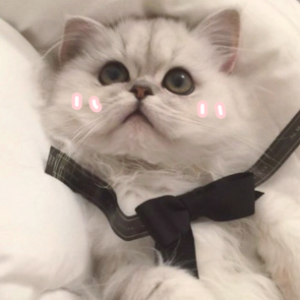 我操微信恶搞傻屌群聊杂图斗图表情包