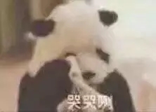 我操微信恶搞傻屌群聊杂图斗图表情包