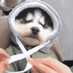 我操微信恶搞傻屌群聊杂图斗图表情包