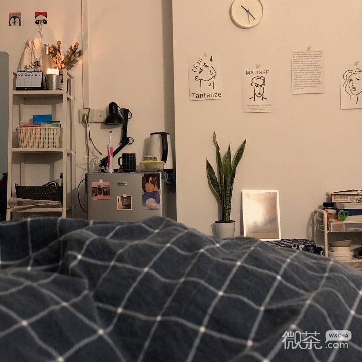 微信粉色系房间朋友圈配图