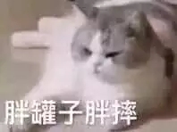 我操微信恶搞傻屌群聊杂图斗图表情包