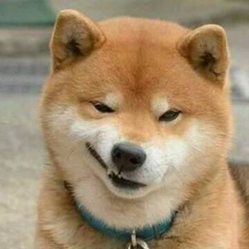 醒醒微信恶搞傻屌群聊杂图斗图表情包