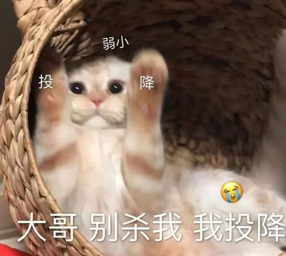 我操微信恶搞傻屌群聊杂图斗图表情包