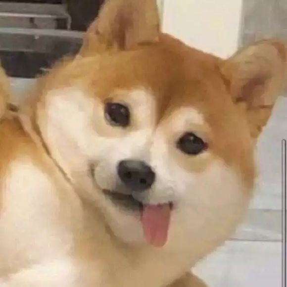 我操微信恶搞傻屌群聊杂图斗图表情包