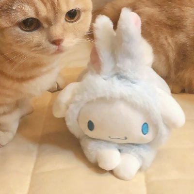 超可爱的微信喵星人萌宠头像下载