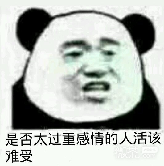在吗微信恶搞群聊杂图斗图表情包