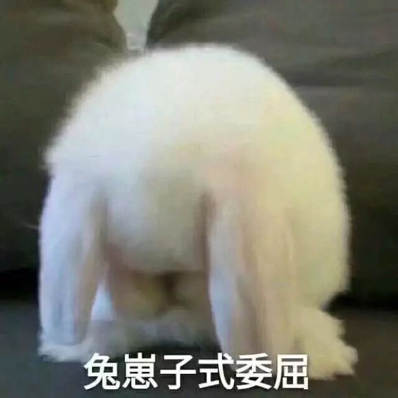 我操微信恶搞傻屌群聊杂图斗图表情包