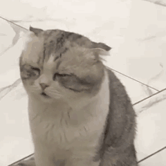 我操微信恶搞傻屌群聊杂图斗图表情包