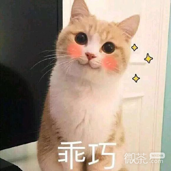 微信近期斗图恶搞表情包2019/10/22