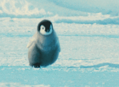 我操微信恶搞傻屌群聊杂图斗图表情包