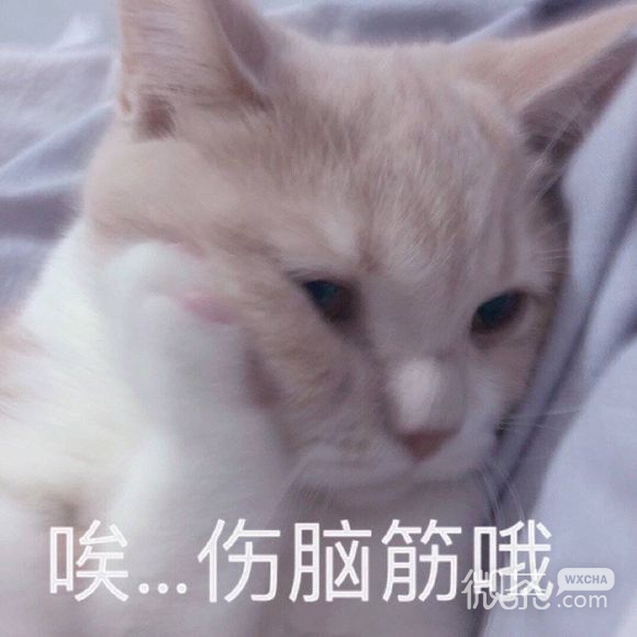 微信近期斗图恶搞表情包2019/10/22