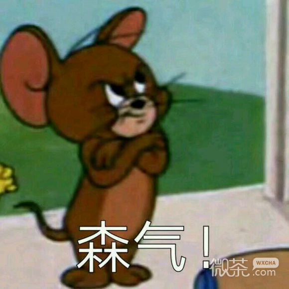 嘿嘿微信恶搞傻屌群聊斗图表情包
