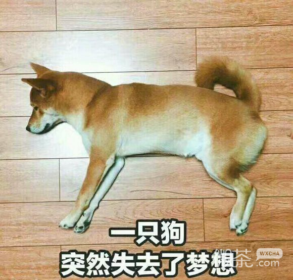 嘿嘿微信恶搞傻屌群聊斗图表情包