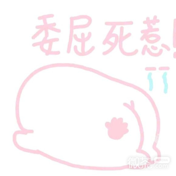 秋裤微信恶搞沙雕斗图表情包