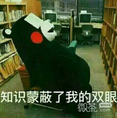 妙微信恶搞傻屌群聊斗图表情包