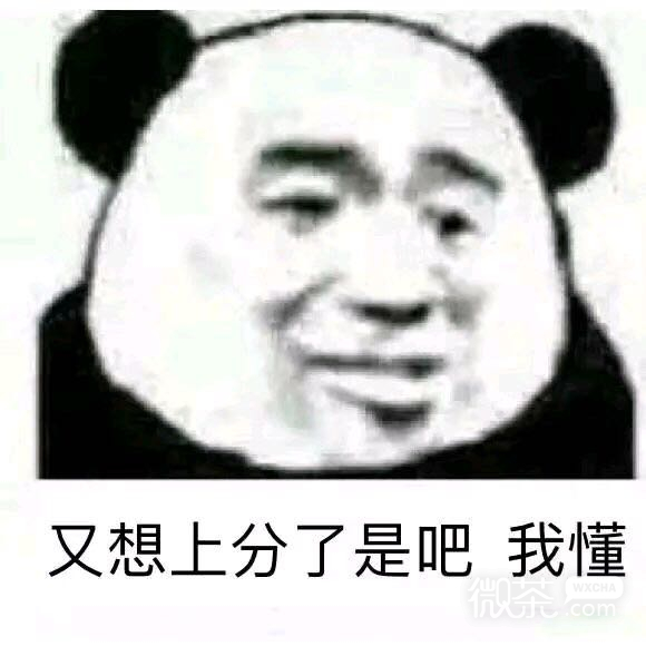 妙微信恶搞傻屌群聊斗图表情包