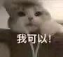 我可以微信恶搞傻屌群聊杂图斗图表情包